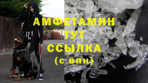 шишки Михайловка
