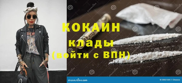 твердый Михайловск