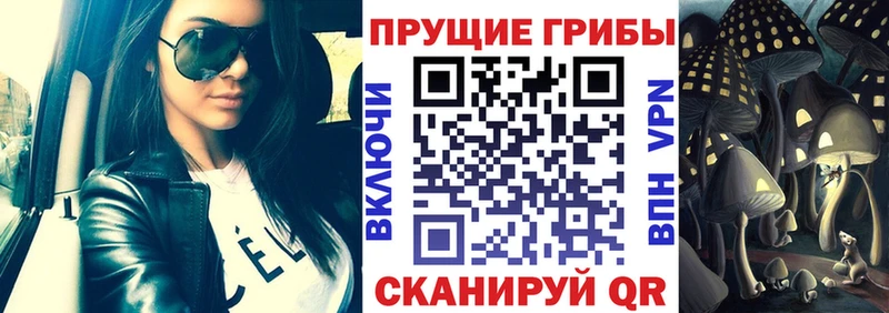 Купить  Неман  Псилоцибиновые грибы мухоморы 